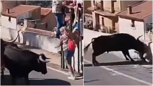watch:-horror-as-female-tourist,-64,-is-gored-to-death-in-street-during-running-of-the-bulls-festival-in-southern-spain