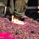 hidden-danger-of-wine-making-exposed-after-man-dies-inside-spanish-wine-press