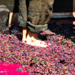 hidden-danger-of-wine-making-exposed-after-man-dies-inside-spanish-wine-press