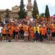 salobrena-cat-charity-demands-councils-act
