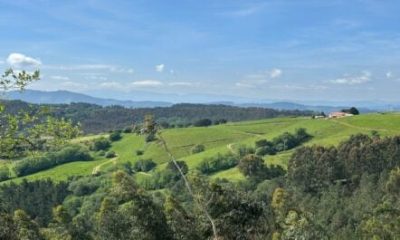 spain’s-green-northern-coast-becomes-‘cool-cation’-refuge-as-tourists-flee-scorching-southern-summers