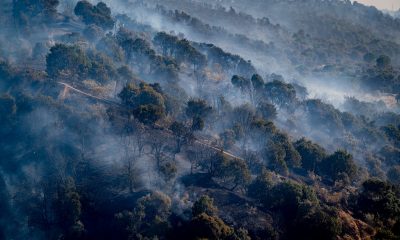 what-happens-to-people-who-start-wildfires?-from-two-years-in-prison-for-a-barbecue-that-caused-11-deaths-to-10-years-for-an-arsonist