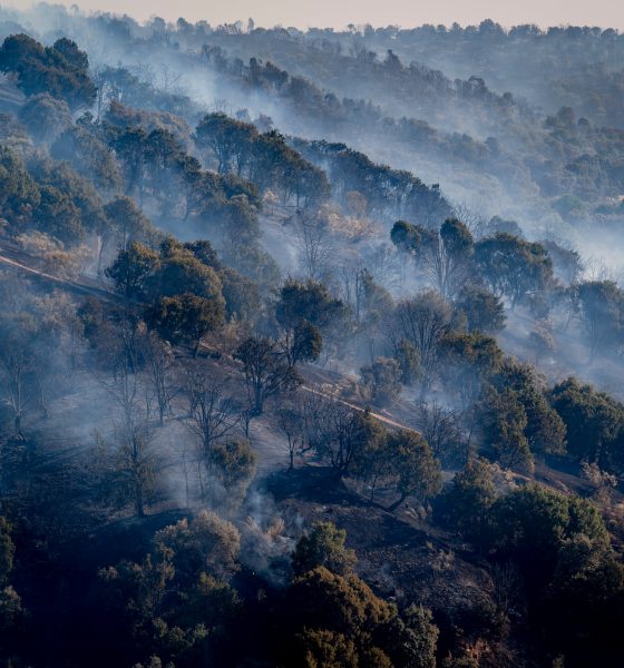 what-happens-to-people-who-start-wildfires?-from-two-years-in-prison-for-a-barbecue-that-caused-11-deaths-to-10-years-for-an-arsonist