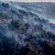 what-happens-to-people-who-start-wildfires?-from-two-years-in-prison-for-a-barbecue-that-caused-11-deaths-to-10-years-for-an-arsonist