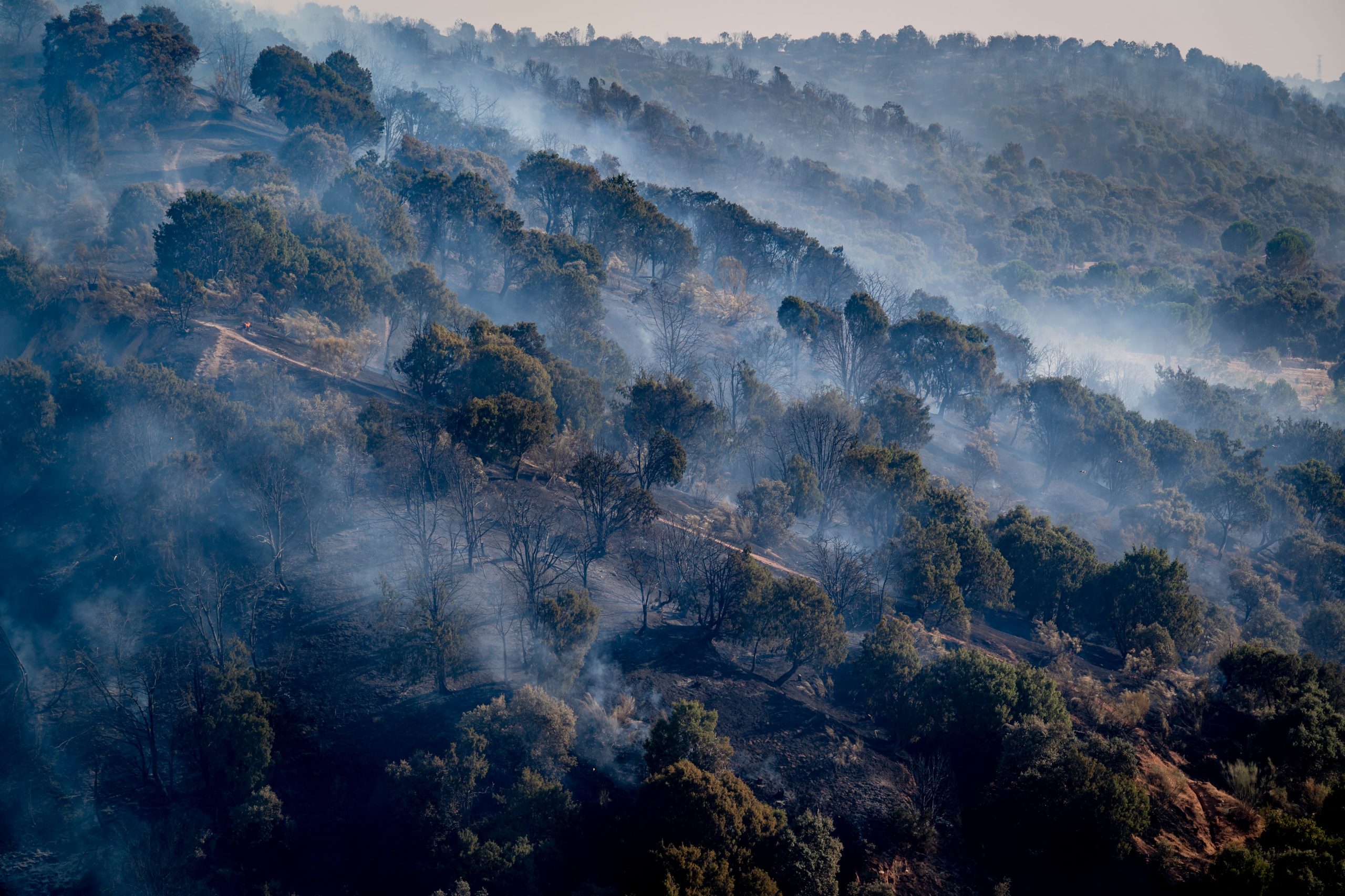 what-happens-to-people-who-start-wildfires?-from-two-years-in-prison-for-a-barbecue-that-caused-11-deaths-to-10-years-for-an-arsonist