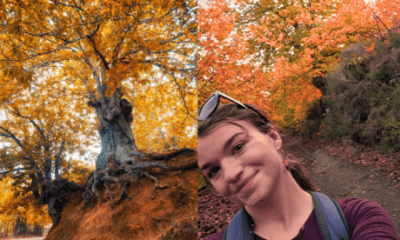 from-the-archives:-‘i-visited-ronda’s-incredible-copper-forest-–-this-is-why-it’s-the-perfect-autumn-escape’