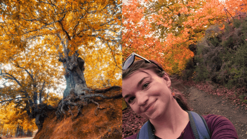 from-the-archives:-‘i-visited-ronda’s-incredible-copper-forest-–-this-is-why-it’s-the-perfect-autumn-escape’
