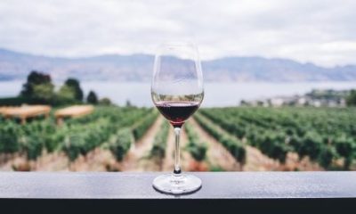 six-wine-growing-regions-in-spain-to-enjoy-the-grape-harvest-this-autumn