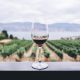 six-wine-growing-regions-in-spain-to-enjoy-the-grape-harvest-this-autumn