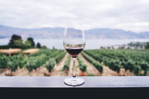 six-wine-growing-regions-in-spain-to-enjoy-the-grape-harvest-this-autumn