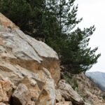 family-hit-by-devastating-mountain-rockfall