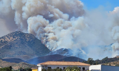 watch:-major-wildfire-erupts-in-benahavis-–-emergency-alert-sent-as-residents-urged-to-stay-indoors