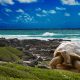 galapagos,-a-paradise-under-criminal-siege