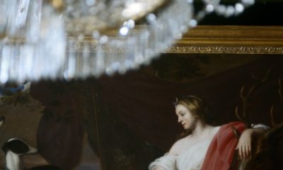galerie-kugel,-the-gallery-of-out-of-reach-treasures:-‘not-every-extraordinary-object-ends-up-in-a-museum’
