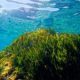 estepona-museum-seagrass-meadow