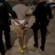 two-more-detained-over-isla-cristina-narco-massacre-that-killed-pregnant-woman,-mother-and-teen-–-bringing-total-arrests-to-five