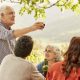 living-in-spain?-how-to-make-your-finances-work-under-spanish-rules