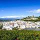 spain’s-rental-market-sees-secondary-towns-heat-up-as-house-hunters-priced-out-of-malaga-set-sights-on-velez-malaga