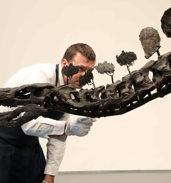 dinosaur-fossils,-the-latest-obsession-of-the-ultra-rich:-‘some-enjoy-knowing-only-they-can-admire-it’