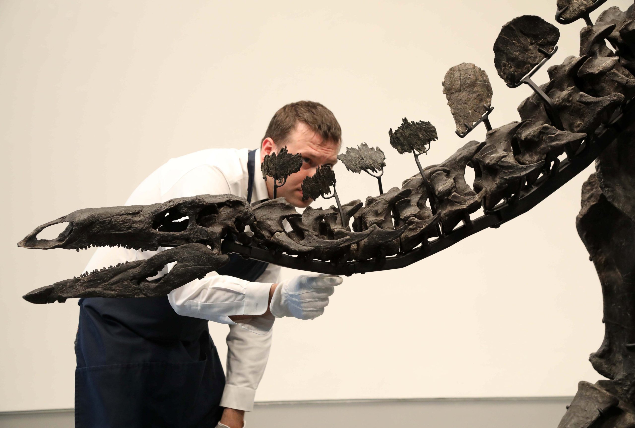 dinosaur-fossils,-the-latest-obsession-of-the-ultra-rich:-‘some-enjoy-knowing-only-they-can-admire-it’