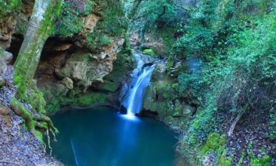 these-eight-forests-nestled-in-andalucia-are-perfect-to-lose-yourself-in-this-autumn