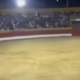 watch:-horror-as-bull-charges-performer-at-exact-moment-spanish-bullring-plunges-into-darkness
