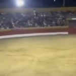 watch:-horror-as-bull-charges-performer-at-exact-moment-spanish-bullring-plunges-into-darkness