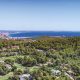 balearic-government-rules-out-restrictions-on-second-home-buyers-despite-brussels-opening