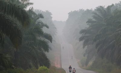 ‘el-nino’-alcanza-ya-niveles-record-y-amenaza-con-cobrarse-450.000-vidas-solo-por-el-calor-extremo