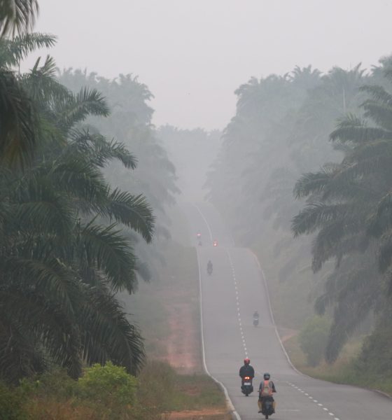 ‘el-nino’-alcanza-ya-niveles-record-y-amenaza-con-cobrarse-450.000-vidas-solo-por-el-calor-extremo