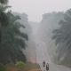 ‘el-nino’-alcanza-ya-niveles-record-y-amenaza-con-cobrarse-450.000-vidas-solo-por-el-calor-extremo