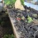 destruction-of-mijas’s-green-spaces