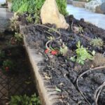 destruction-of-mijas’s-green-spaces