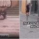 malaga-20-year-old-shot-to-death-by-swedish-narcos-‘dreamed-of-working-as-a-train-mechanic-for-renfe’