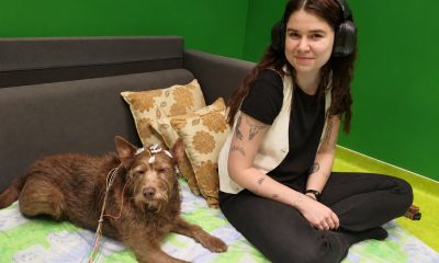 dogs-also-prefer-consonants:-how-our-language-shapes-their-brain