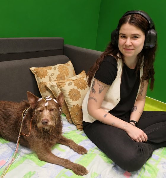 dogs-also-prefer-consonants:-how-our-language-shapes-their-brain