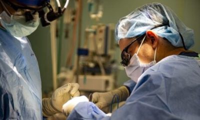 transplant-patients-offered-new-hope-as-spanish-doctors-develop-technique-to-end-organ-rejection