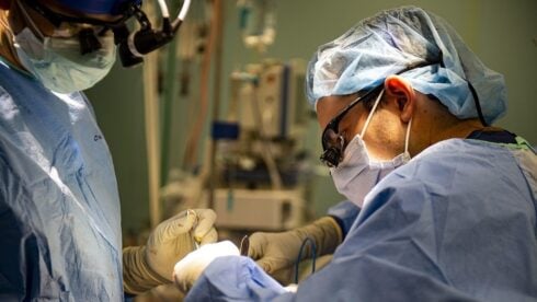 transplant-patients-offered-new-hope-as-spanish-doctors-develop-technique-to-end-organ-rejection