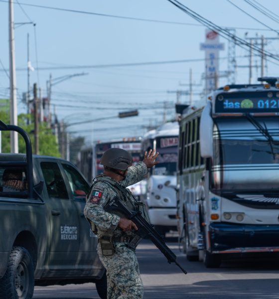 a-drug-free-mexico-is-not-possible,-but-one-that-causes-less-harm-is