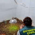 protected-species-trafficking-operation-uncovered-in-spain-involving-hundreds-of-reptiles