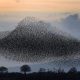 is-there-a-10%-chance-that-ai-will-kill-us-all?