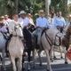 salobrena-romeria-puts-horses-centre-stage