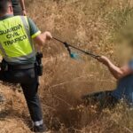 petrol-thieves-in-spain-see-their-getaway-go-spectacularly-wrong
