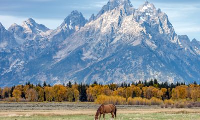 mlb-seeks-to-bring-a-game-to-grand-teton,-drawing-criticism-over-construction-in-a-national-park