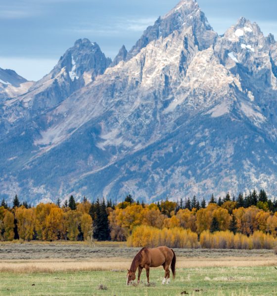mlb-seeks-to-bring-a-game-to-grand-teton,-drawing-criticism-over-construction-in-a-national-park