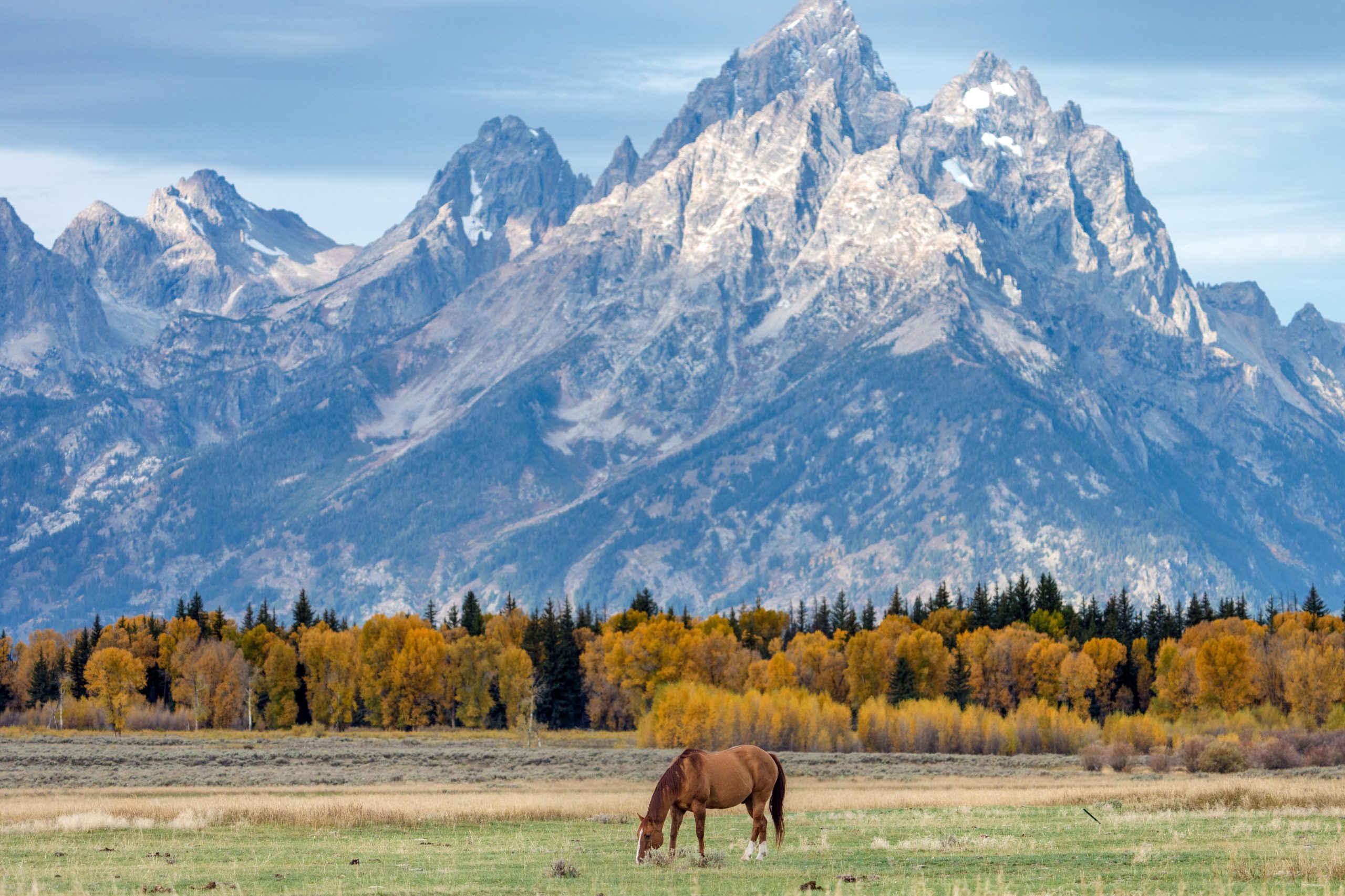 mlb-seeks-to-bring-a-game-to-grand-teton,-drawing-criticism-over-construction-in-a-national-park