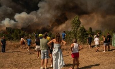 355,000-hectares-burnt,-8-dead:-wwf-urges-spain-to-rethink-wildfire-prevention