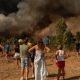 355,000-hectares-burnt,-8-dead:-wwf-urges-spain-to-rethink-wildfire-prevention