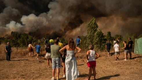 355,000-hectares-burnt,-8-dead:-wwf-urges-spain-to-rethink-wildfire-prevention