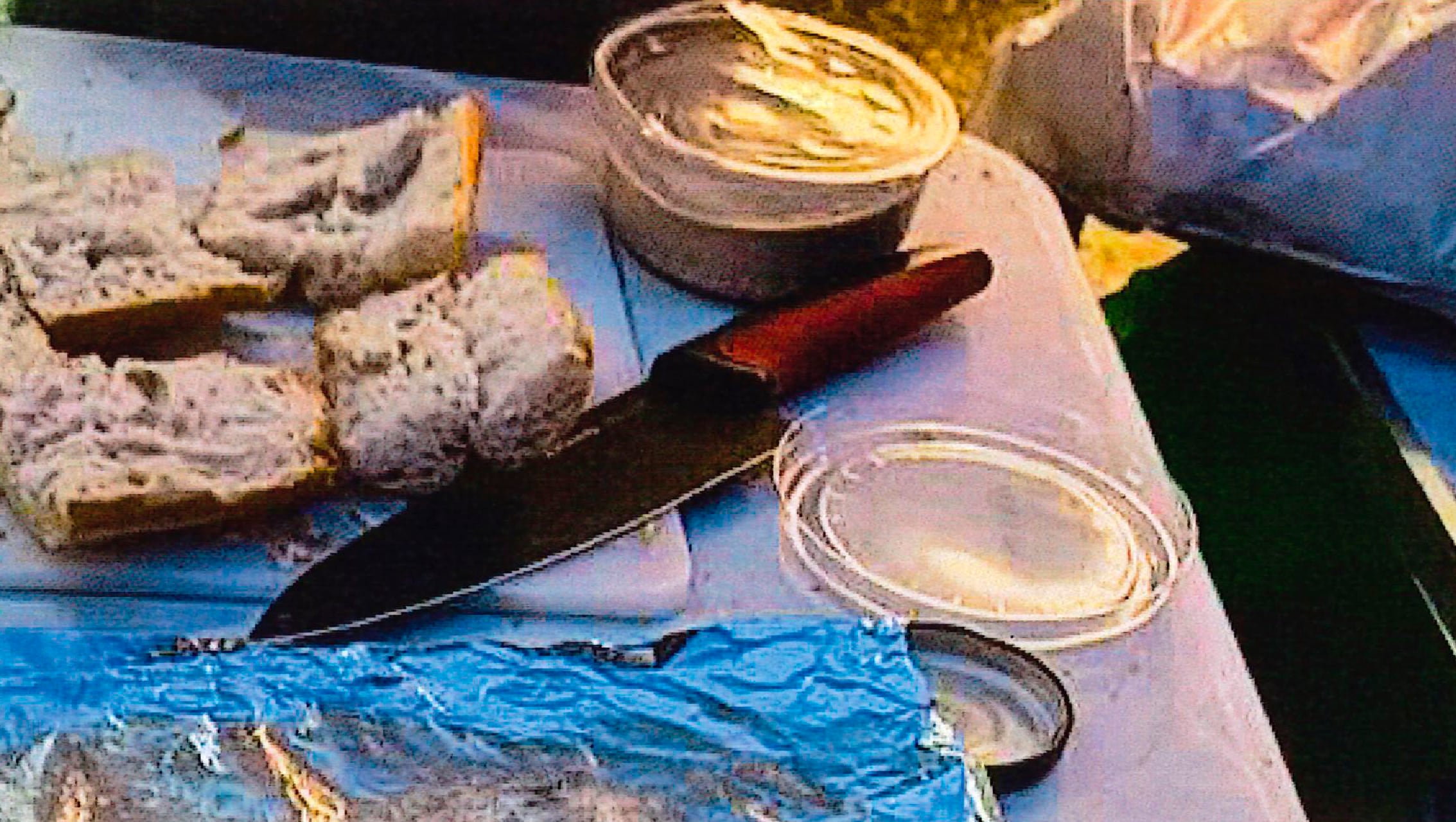 el-ayuntamiento-presenta-una-foto-de-un-cuchillo-junto-a-pan-y-hummus-como-prueba-del-peligro-de-la-acampada-de-sol